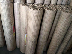 пĨǽ纸